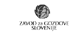 Partner company logo - Slovenian forests institute